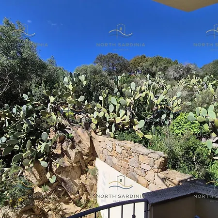 North Sardinia Retreats-terralugiana